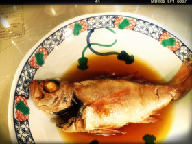 【簡単】大目鯛(\u003d赤むつ,のどぐろ)煮付